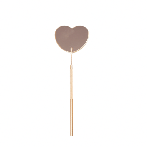 Heart Shaped Mirror