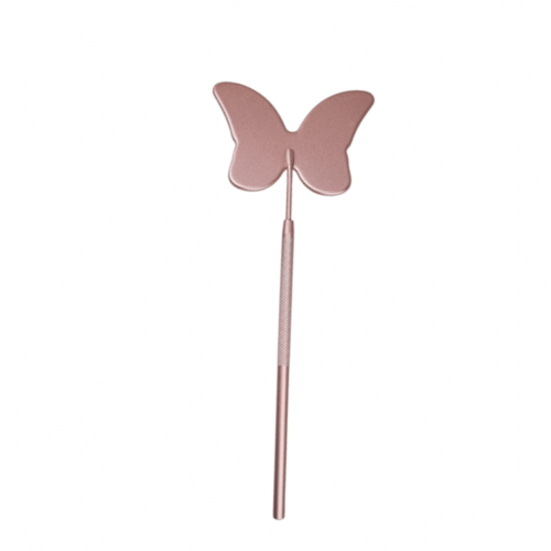 Butterfly Mirror
