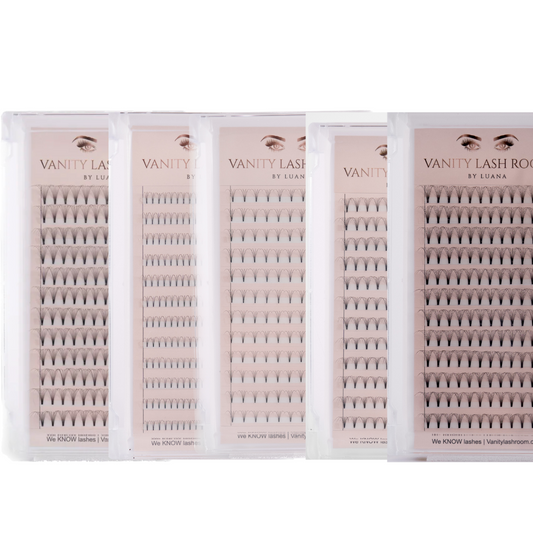 Lash Tray Sample box